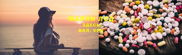 индика Новокубанск