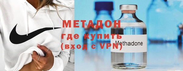 прущие грибы Ельня