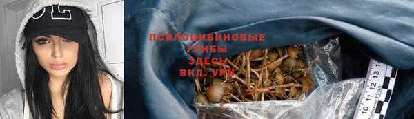 прущие грибы Ельня