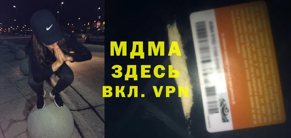 прущие грибы Ельня