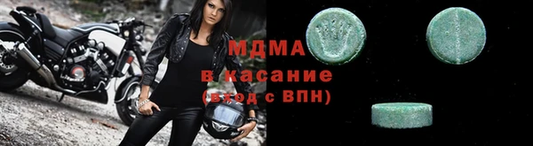 прущие грибы Ельня