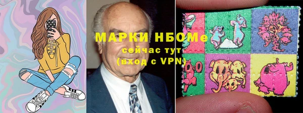 прущие грибы Ельня