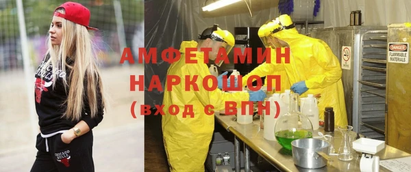 индика Новокубанск