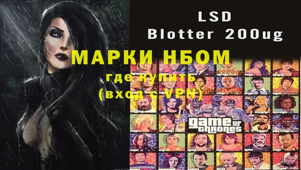 стафф Кадников