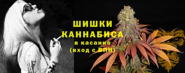 индика Новокубанск