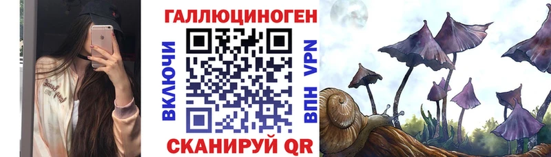 дарнет шоп Кировград blacksprut зеркало Псилоцибиновые грибы Psilocybine cubensis